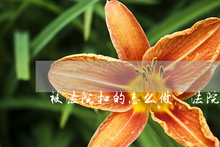 被法院扣的怎么做賬(法院扣款怎么做分錄)