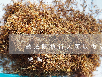 被法院执行人可以做动车吗(被执行人动车能做吗)