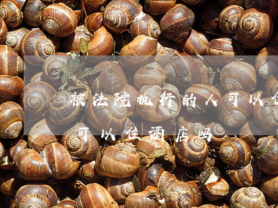 被法院执行的人可以住宾馆吗(被法院执行了可以住酒店吗)