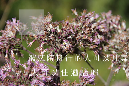 被法院执行的人可以开宾馆吗(被强制执行的人可以住酒店吗)