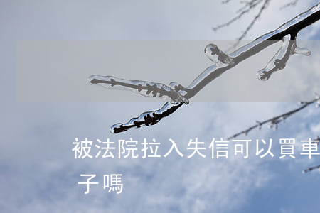 被法院拉入失信可以買車嗎(失信人可以買車子嗎)