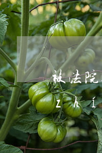 被法院拉入黑名單可以坐高鐵嗎(法院被執(zhí)行的人可以坐高鐵么)