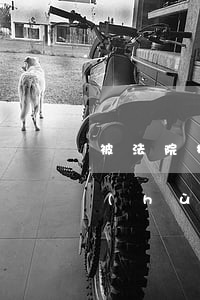 被法院拉入黑名單可以辦護(hù)照嗎(護(hù)照被拉黑名單怎么辦)