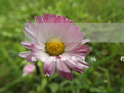 被法院拉黑可以辦銀行卡嗎(銀行卡怎么拉黑別人)