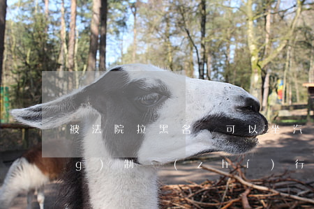 被法院拉黑名單可以坐汽車嗎(強(qiáng)制執(zhí)行拉黑名單,駕駛證可以用嗎?)