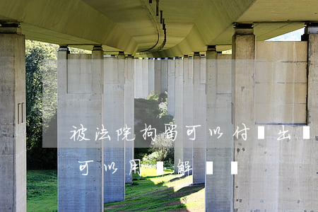 被法院拘留可以付錢出來(lái)嗎(拘留可以用錢解決嗎)
