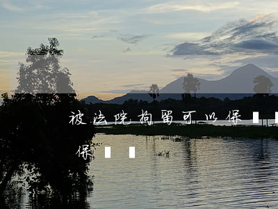 被法院拘留可以保釋嗎(民事糾紛被拘留可以保釋嗎)