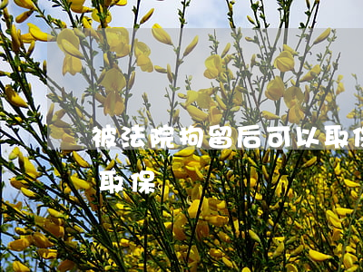 被法院拘留后可以取保嗎(被拘留了可以申請取保嗎)