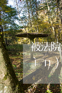 被法院查封拍賣的房可以住人嗎(房子進(jìn)入執(zhí)行拍賣期間還能不能住人)