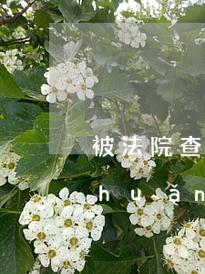 被法院查封的商標(biāo)可以轉(zhuǎn)讓嗎(注冊商標(biāo)可以轉(zhuǎn)讓嗎?)