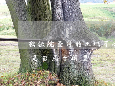 被法院查封的土地可以开发吗(法院查封土地是否属于闲置)