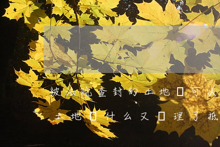 被法院查封的土地還可以抵押嗎(法院查封的土地為什么又辦理了抵押登記)