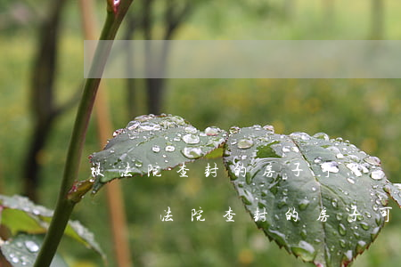 被法院查封的房子可以確權(quán)訴訟嗎(法院查封的房子可以設(shè)立居住權(quán)嗎)