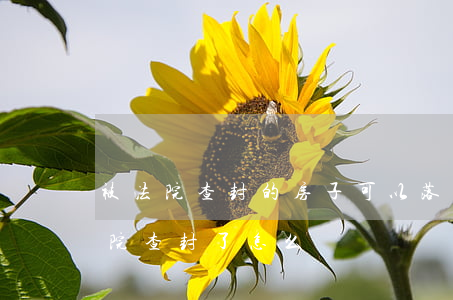 被法院查封的房子可以落戶嗎(如果房子被法院查封了怎么辦)