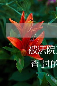被法院查封的房子戶主可以自買嗎(買到法院查封的房子已經(jīng)居住了有什么后果)