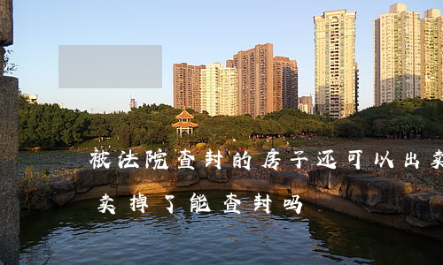 被法院查封的房子还可以出卖吗(房子查封前卖掉了能查封吗)