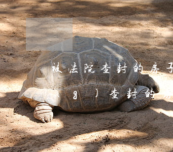 被法院查封的房子還可以保全嗎(已經(jīng)查封的房子還能保全嗎)
