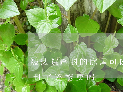 被法院查封的房屋可以出卖吗(房子被法院查封了还能卖吗)