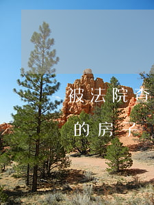 被法院查封的房屋可以買嗎(買到被法院查封的房子應(yīng)該怎么辦)