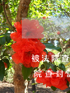 被法院查封的設(shè)備可以使用嗎(法院查封設(shè)備被買(mǎi)了,追究什么責(zé)任)