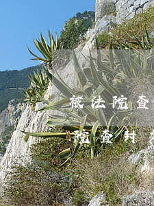 被法院查封的車子可以處理違章嗎(車子被法院查封交警會(huì)扣車嗎)