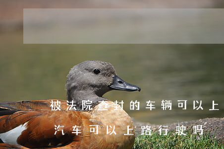 被法院查封的车辆可以上路吗(被法院查封的汽车可以上路行驶吗)