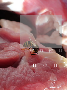 被法院沒收個人全部財產(chǎn)還欠銀行錢怎么辦-被法院沒收個人全部財產(chǎn)還欠銀行錢怎么辦