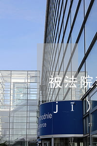 被法院禁止高消費(fèi)可以坐飛機(jī)嗎(法院限制高消費(fèi)怎么樣可以坐飛機(jī))