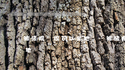 被法院臨控可以坐地鐵嗎(被法院臨控可以坐地鐵嗎)