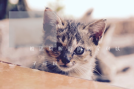 被法院解封的房子可以買嗎(被法院解封的房子可以買嗎)