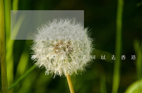 被法院起訴了可以去香港嗎(大陸法院可以起訴香港人嗎)