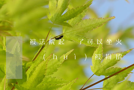 被法院起訴了可以坐火車嗎(被起訴了坐火車會(huì)被拘留嗎)