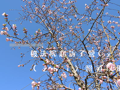被法院起訴了營(yíng)業(yè)執(zhí)照可以取消嗎(營(yíng)業(yè)執(zhí)照能取消嗎)