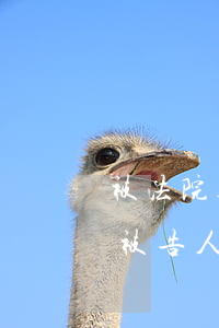 被法院起訴了還可以補(bǔ)辦身份證嗎(被告人的身份證過期了如何起訴他)