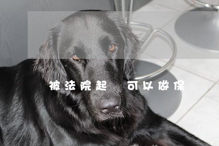 被法院起訴可以做保險嗎(訴訟保險公司怎么訴訟)