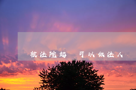 被法院起訴可以做法人嗎