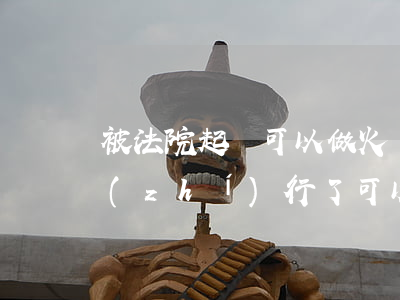 被法院起訴可以做火車嗎(民事糾紛被法院執(zhí)行了可以坐火車嗎)