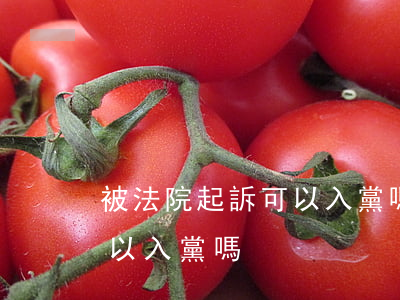 被法院起訴可以入黨嗎(免于起訴的人以后可以入黨嗎) 被法院起訴可以入黨嗎(免于起訴的人以后可以入黨嗎)
