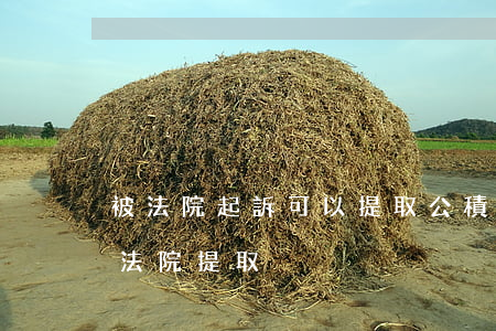 被法院起訴可以提取公積金嗎(公積金怎么被法院提取)