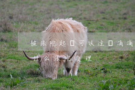 被法院起訴可以注冊滴滴嗎(滴滴金融起訴為什么法院受理)