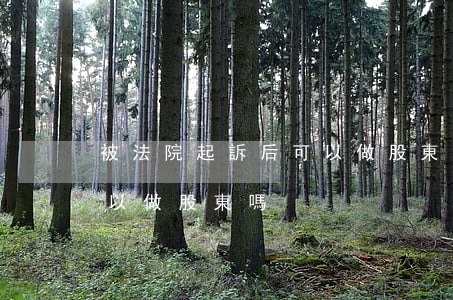 被法院起訴后可以做股東嗎(被法院起訴后可以做股東嗎)