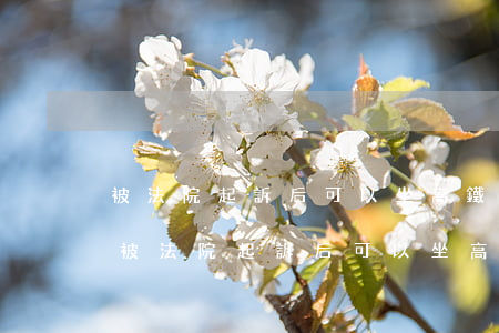 被法院起訴后可以坐高鐵和飛機(jī)嗎(被法院起訴后可以坐高鐵和飛機(jī)嗎)