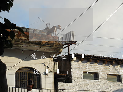 被法院起訴會(huì)封微信么(法院起訴被凍結(jié)微信還能用嗎)