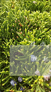 被法院起訴的人可以去考駕駛證嗎(如果被法院起訴了駕駛證可以用嗎)