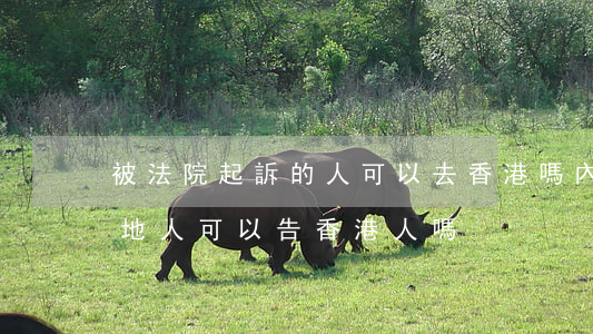被法院起訴的人可以去香港嗎(內(nèi)地人可以告香港人嗎)