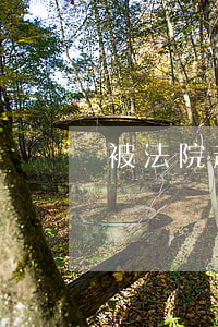 被法院起訴的黑戶幾年可以嗎(起訴黑戶有用嗎)