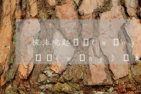被法院起訴網(wǎng)貸案例(被法院起訴網(wǎng)貸案例有哪些)