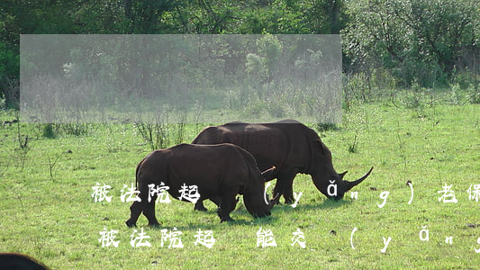 被法院起訴養(yǎng)老保險可以保嗎(被法院起訴能交養(yǎng)老保險嗎)