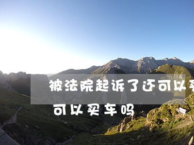 被法院起诉了还可以买车吗(我被法院执行中可以买车吗)