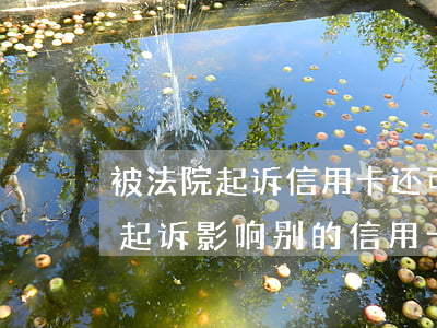 被法院起诉信用卡还可以用吗(一张信用卡被起诉影响别的信用卡吗)